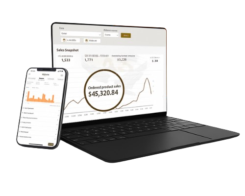 Ecom Avenue Dashboard Analytics